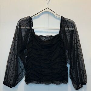 Ambiance Black Polka Dot Sheer Blouse